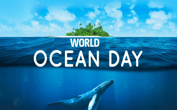 Celebrating Ocean Day: The Importance of Sustainable Omega-3 Sources